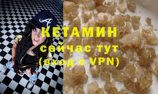 трава Корсаков