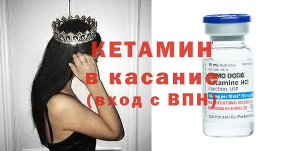 прущие грибы Покачи