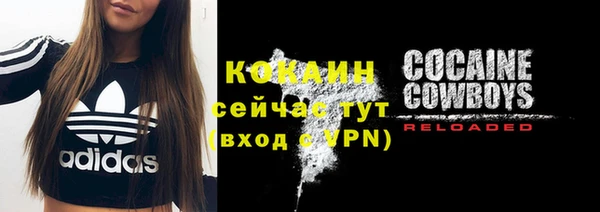 прущие грибы Покачи