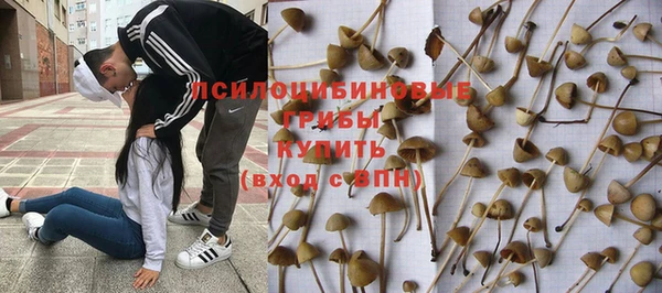 бошки Покров