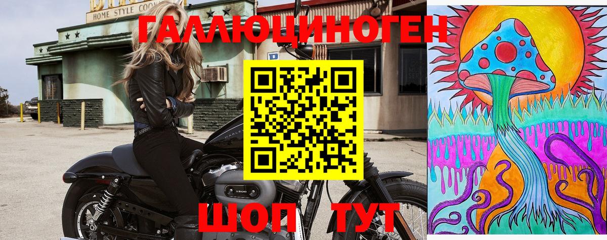 Псилоцибиновые грибы ЛСД Аргун