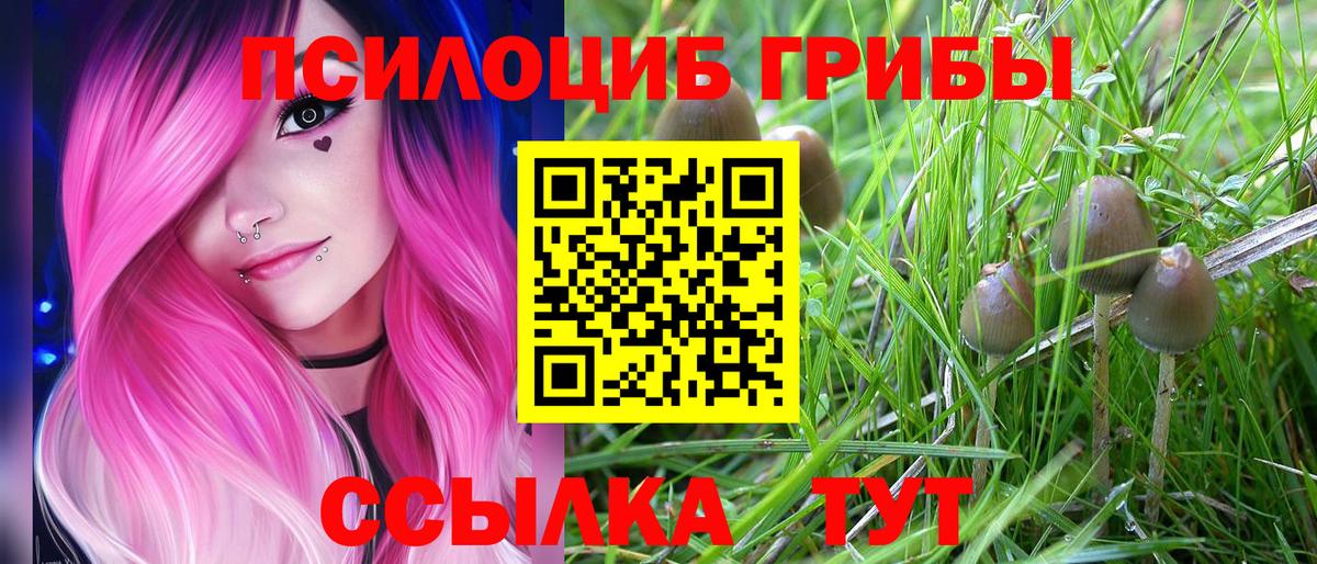 Альфа ПВП Аргун
