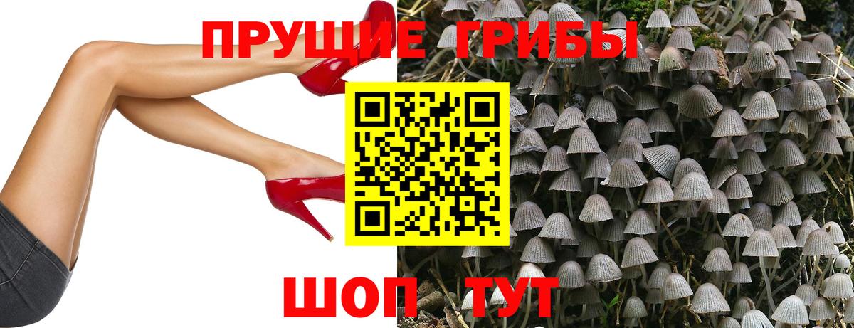 Псилоцибиновые грибы прущие грибы  Аргун 