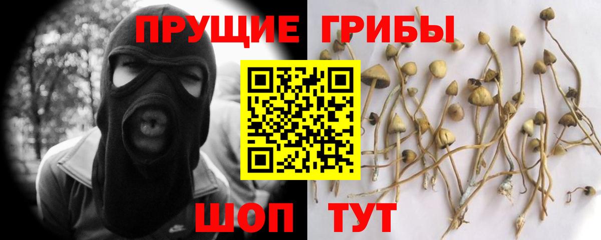 Галлюциногенные грибы ЛСД Аргун