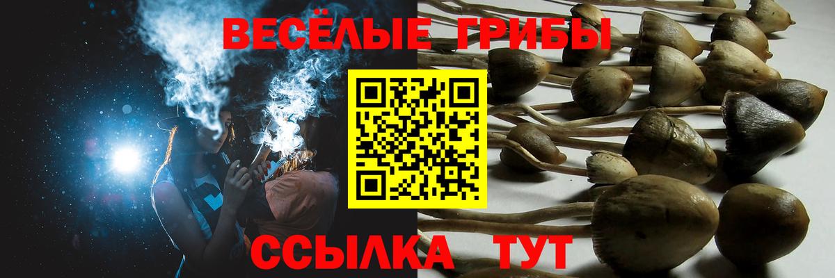 Псилоцибиновые грибы MAGIC MUSHROOMS  Вход с VPN  Псилоцибиновые грибы Psilocybe  Аргун 